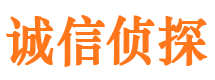 临洮外遇出轨调查取证